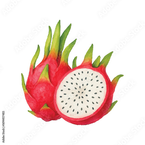 Exotic Dragon Fruit Illustration with Cut Half Isolated on White