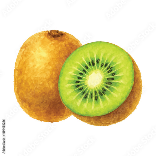 Fresh Kiwi Fruit Illustration Isolated on White Background