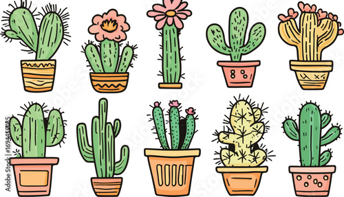 Collection of diverse potted cacti and succulents with colorful blooms and decorative pots