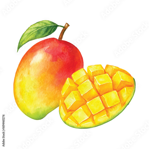 Watercolor Mango Illustration, Whole and Cubed Tropical Fruit