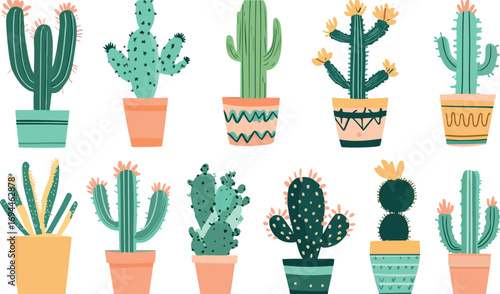 Collection of various potted desert cacti and succulents with colorful decorative planters on white background