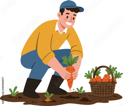 Flat Illustration Man Harvesting Fresh Organic Carrot From The Farm