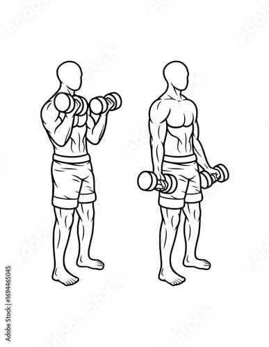 Biceps muscle male dumbbell gym sport training line art, hand drawn, sketch illustration
