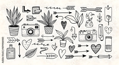 Doodle illustrations of cameras, plants, and hearts with arrows