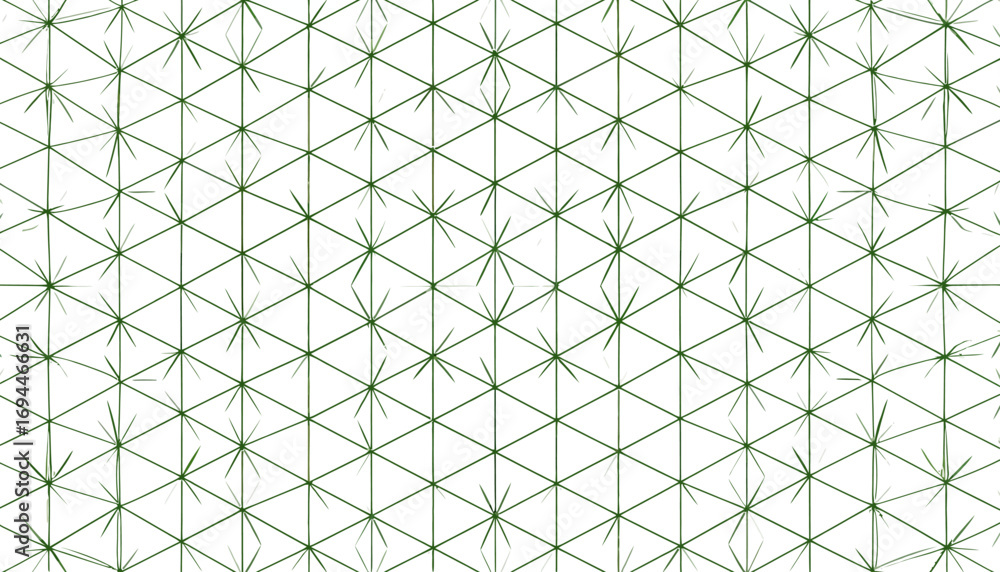 Fototapeta premium Geometric Pattern with Subtle Floral Elements.