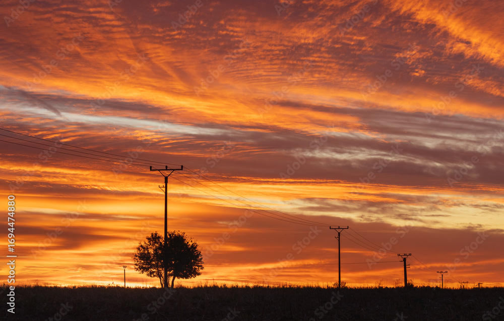 Obraz premium High voltage power line with tree on agriculture field during sunset. Transmission of electrical energy, industry background