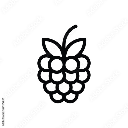 Simple outline icon of a raspberry fruit