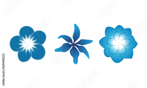 blue flowers icon vector illustration floral