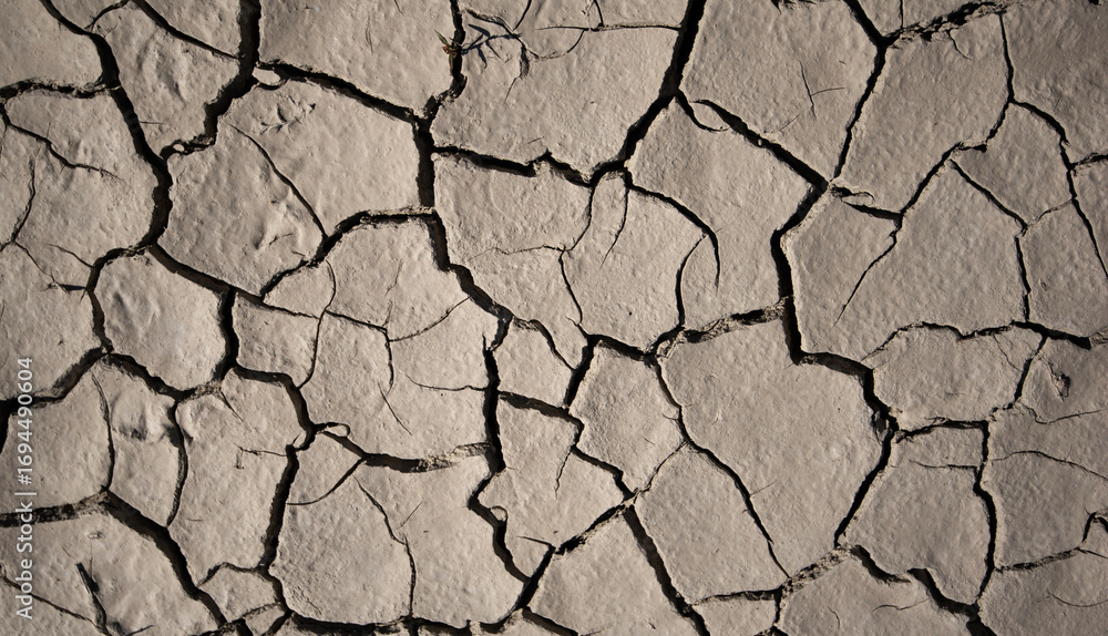 Fototapeta premium Landscape ground cracks drought crisis environment. Texture, background. Cracked earth.