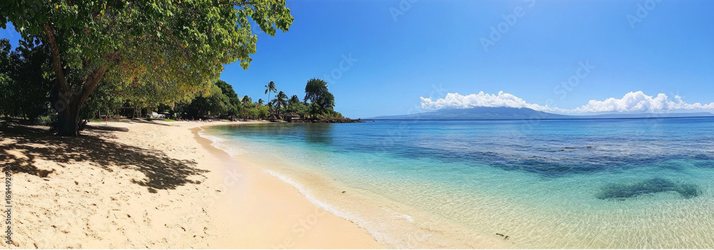 Obraz premium A tropical beach with white sand, palm trees, and crystal clear water, perfect for tourist brochures and articles about summer vacations.