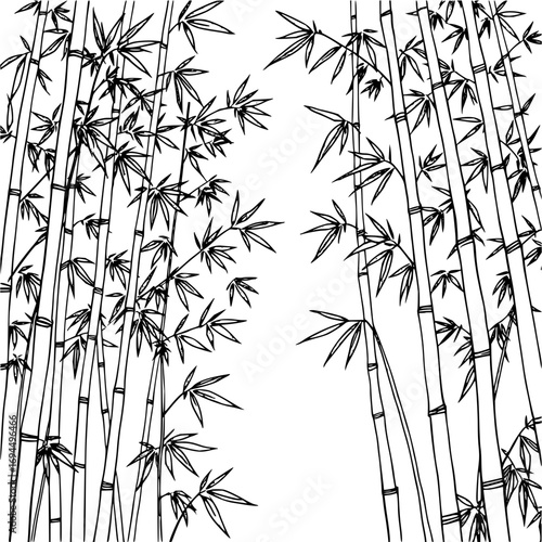 Minimilist illustration of bamboo stalks and leaves in a dense arrangement with a white background and black outlines vector