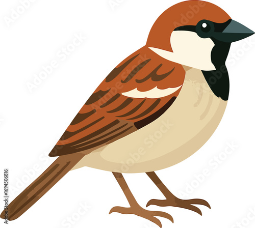 vector illustration of a bird