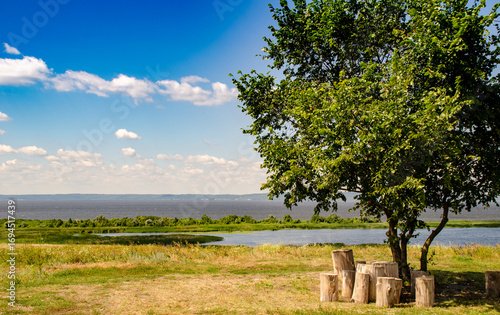 landscape with tree