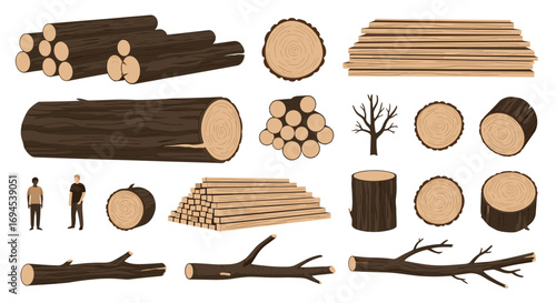 Collection of forest timber products and wooden materials for construction and craftsmanship