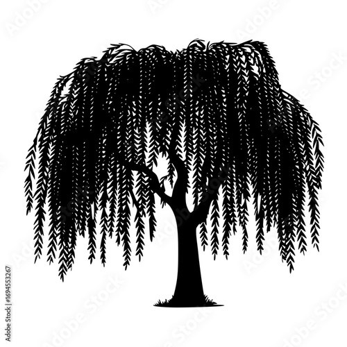 Elegant weeping willow tree silhouette providing serene natural beauty and tranquility for your designs