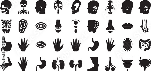 vector Human Anatomy Glyph Icons – 40 Solid Black Body Organ Silhouettes