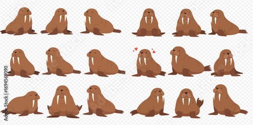 A collection of adorable walrus illustrations in various poses and expressions.