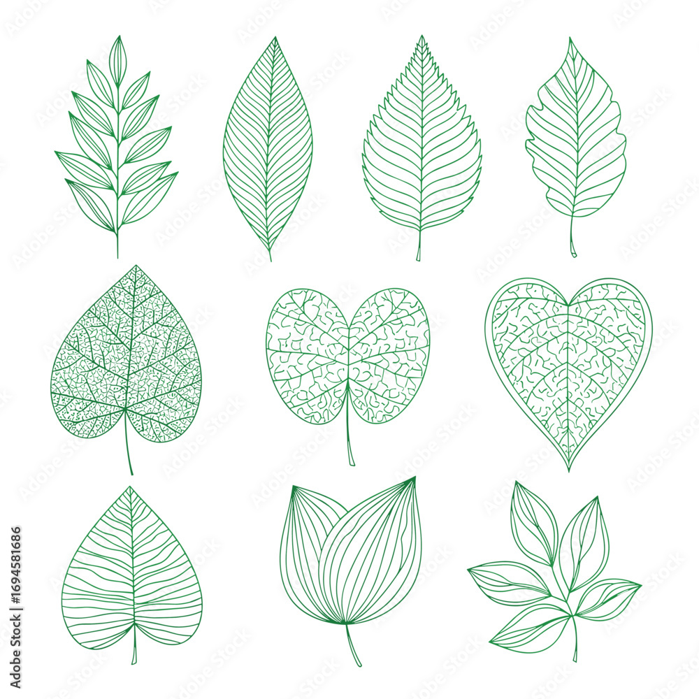 Fototapeta premium Collection of nine green leaf silhouettes stylized organic botanical art