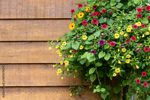 A Big Basket of Small Colorful Patunias Hanging Against the Exterior Wall of a Wooden Cottage