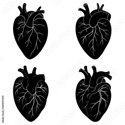 Four anatomical hearts in black and white showing the organ and its vessels in detailed illustration style