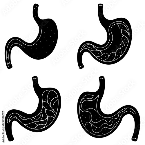Four black and white stomach illustrations showing different internal structures and textures present nicely