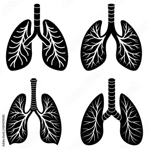 Anatomical illustration showcasing four distinct lung structures with branching bronchioles in black and white