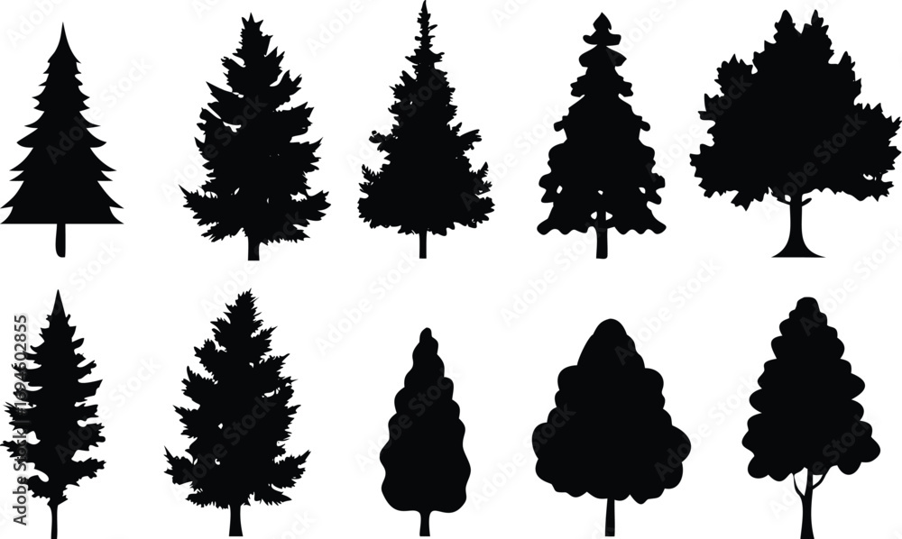 Fototapeta premium Silhouetted Tree Variety of Pine, Fir, and Deciduous Trees on White Background
