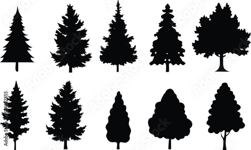 Silhouetted Tree Variety of Pine, Fir, and Deciduous Trees on White Background