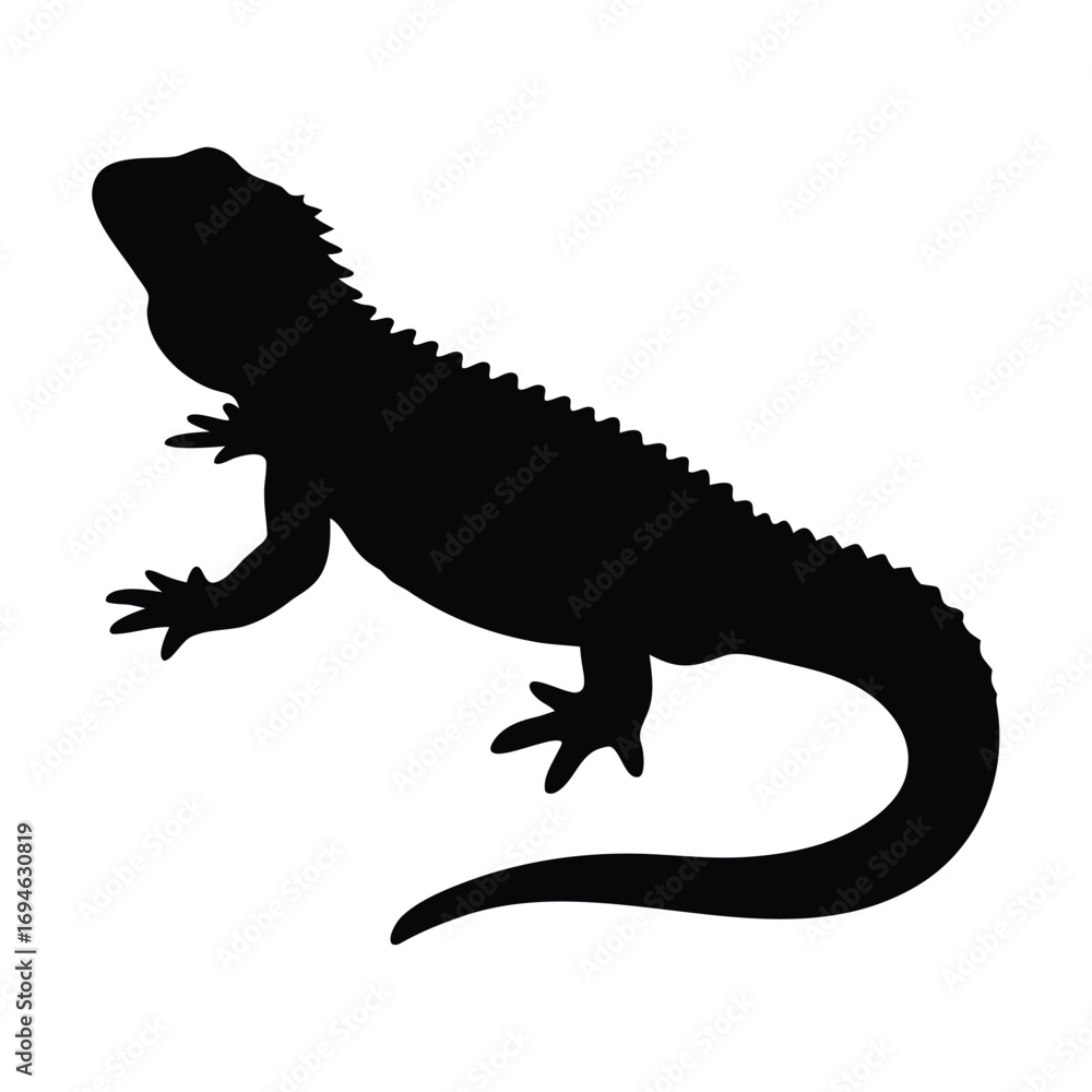 Fototapeta premium Black silhouette of a spiny lizard reptile vector illustration perfect for educational resources and design projects