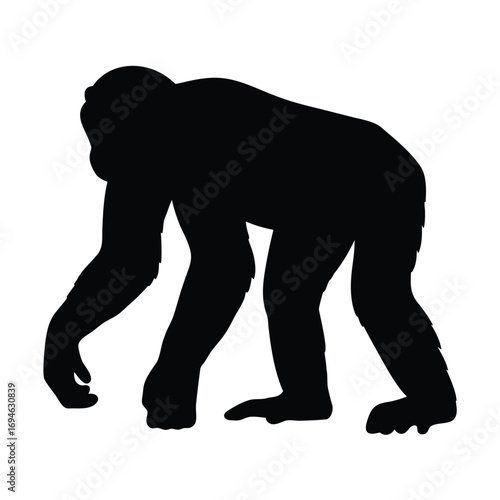 Illustration of a chimpanzee silhouette vector image for wildlife animal designs and ape concepts art