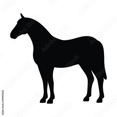 Horse silhouette vector illustration graphic design equine animal mammal mustang thoroughbred stallion mare