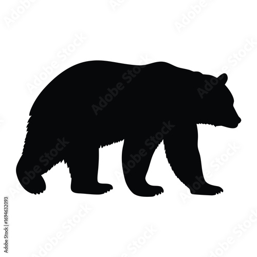 Bear silhouette vector illustration, black bear walking, wildlife animal drawing, bear image art