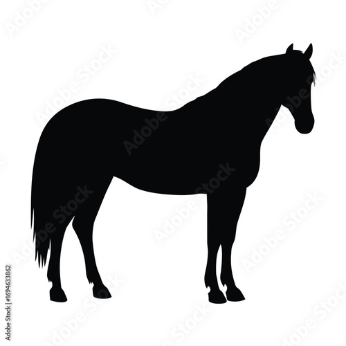 Horse silhouette vector image for equestrian design projects and animal illustration artwork resource