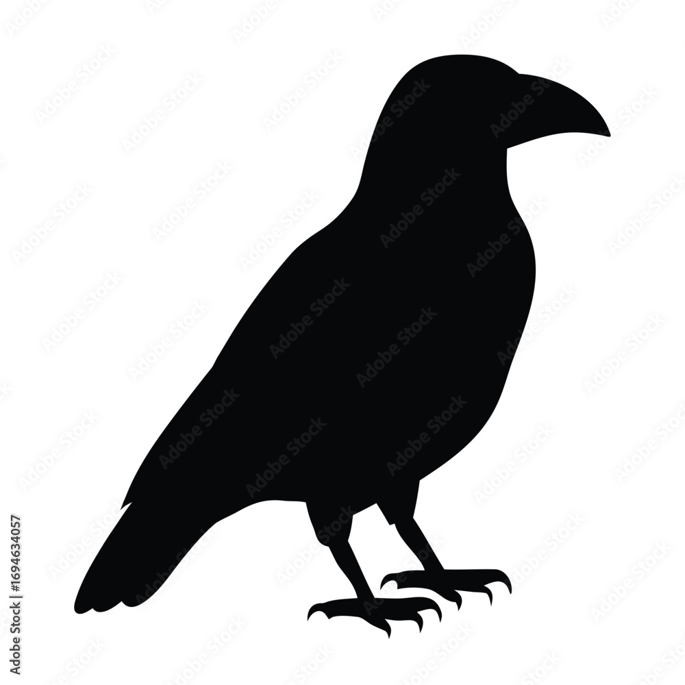 Fototapeta premium Find black raven vector image silhouette for halloween designs and gothic illustrations graphic art