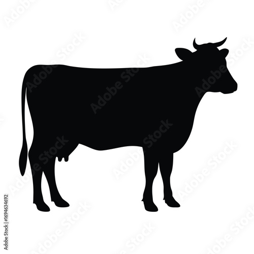 Cow silhouette vector graphic illustration dairy farm animal livestock cattle design graphic art image stock