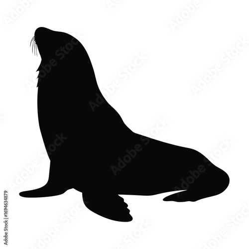 Sea lion silhouette vector art illustration of marine mammal wildlife animal ocean life isolated design
