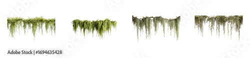 Hanging Spanish Moss and Lichen elements, cut out