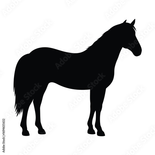 Horse silhouette vector illustration for equestrian design and animal art projects black mustang image