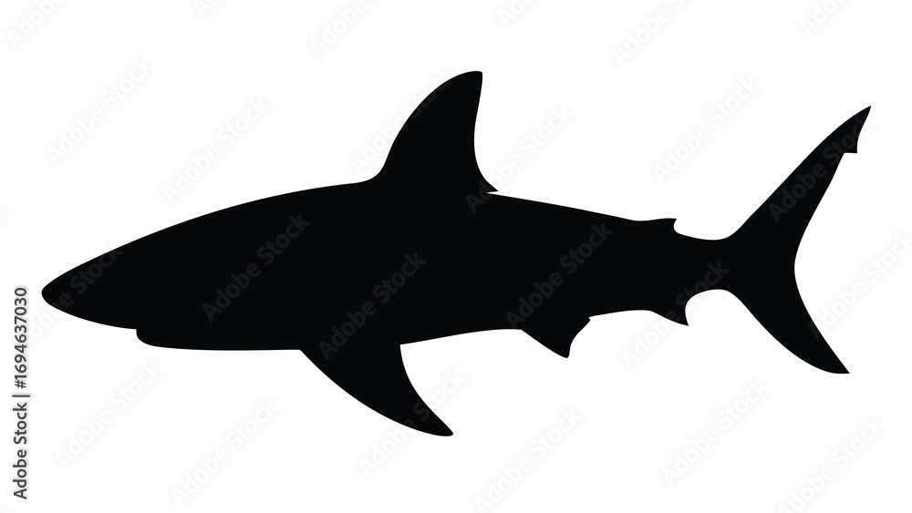 Obraz premium Shark silhouette vector graphic predatory sea creature ocean animal marine life underwater design danger predator