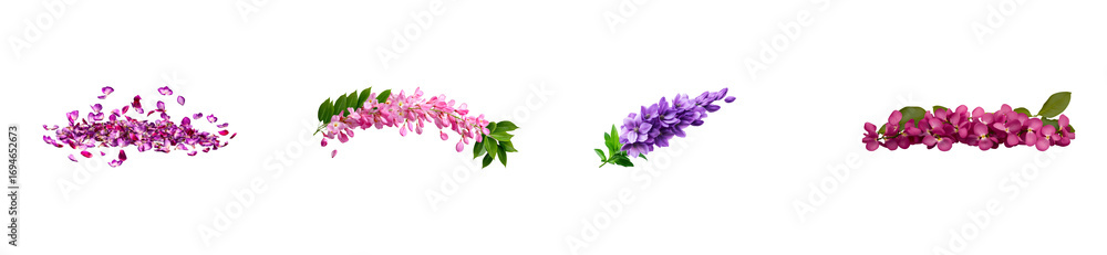 Obraz premium Four distinct clusters of flowers and petals isolated on a black, cut out