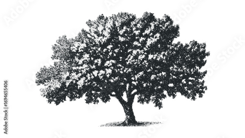 Textured Tree Silhouette with Stippled Foliage on Transparent Background. Vector hand drawn illustration