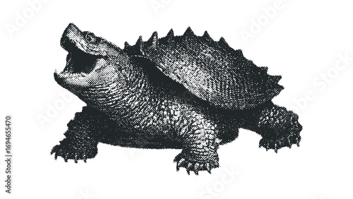 Snapping turtle with mouth open and sharp shell texture on a transparent background. Vector hand drawn illustration