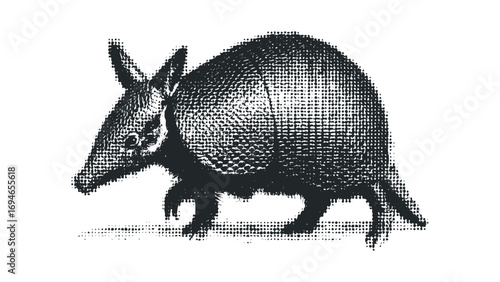 Aardvark Walking Image on Transparent Background. Vector hand drawn illustration