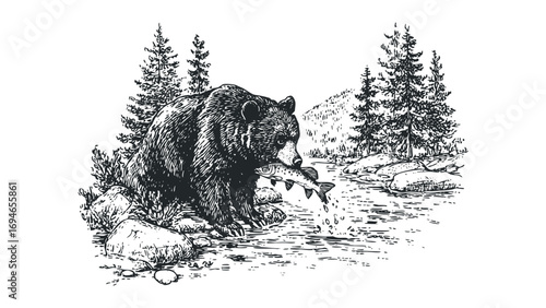 Grizzly bear catches salmon in river near pine trees and rocks. Vector hand drawn illustration