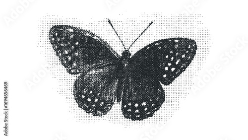 Halftone Dot Butterfly Image Isolated. Vector hand drawn illustration