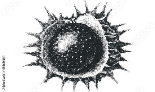 Close up of pollen grain with spiky protrusions. Vector hand drawn illustration