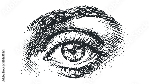 Monochromatic woodcut style eye with detailed iris on transparent. Vector hand drawn illustration
