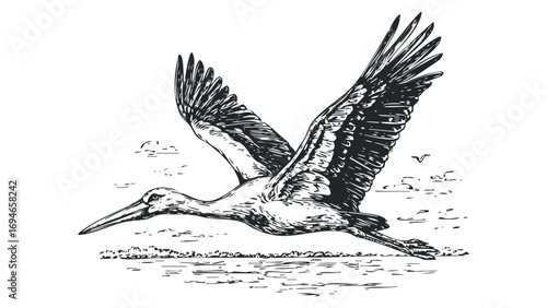 Sketch of a white stork in flight over water. Vector hand drawn illustration