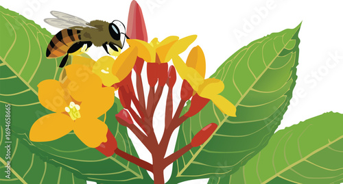 A close-up of nature’s pollinators for youth-focused environmental learning
Bee and flower interaction as a lesson in sustainability and ecological harmony