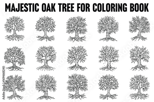 Decorative Oak Tree Coloring Book Pages